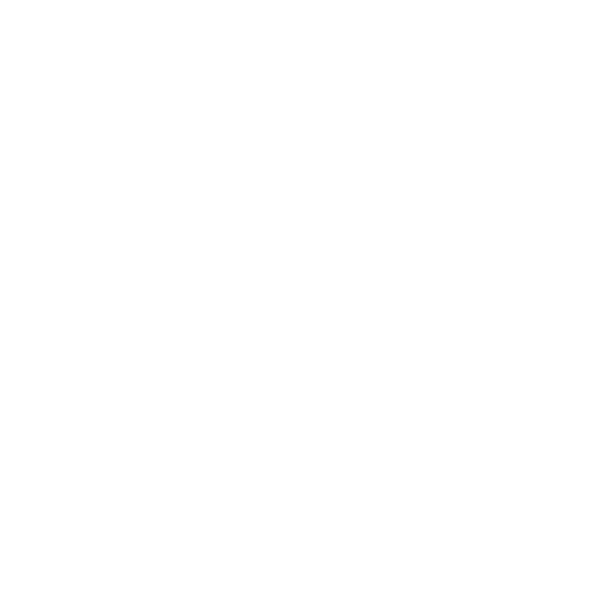  Electronic Car Systems 